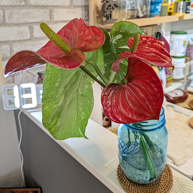 kolo92さんの部屋