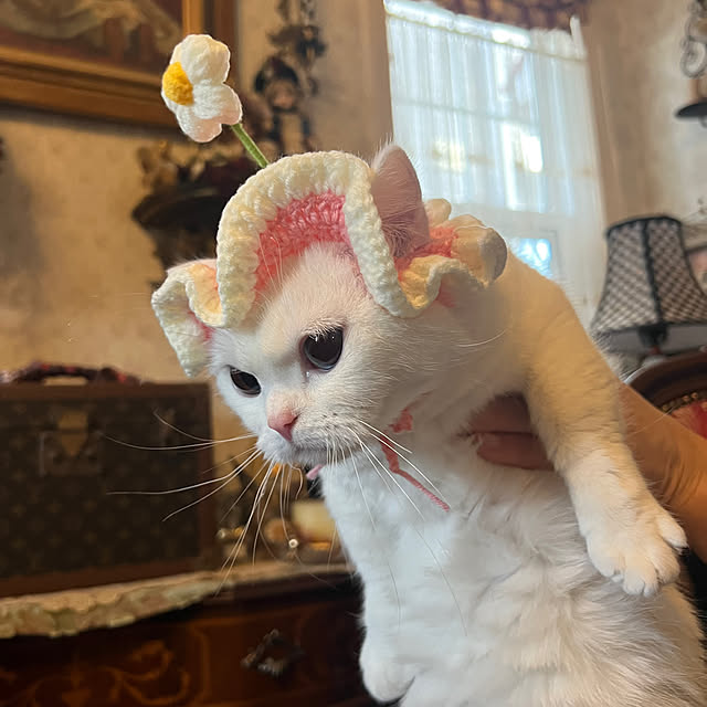 AYUKOさんの部屋