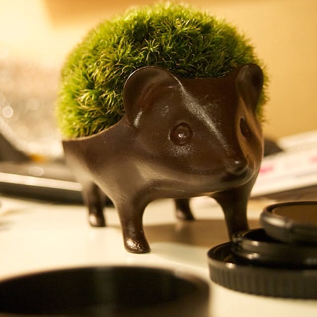 Primoさんの実例写真