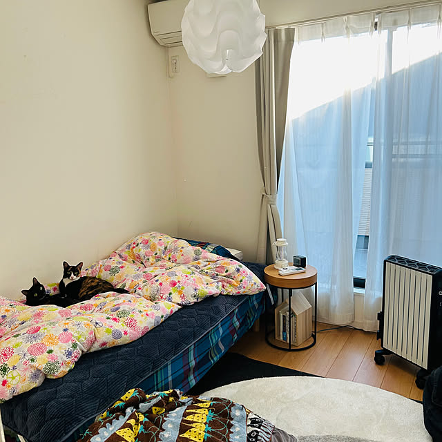 部屋全体/北欧/ねこと暮らす/無印良品/IKEA...などのインテリア実例 - 2024-10-12 07:50:39