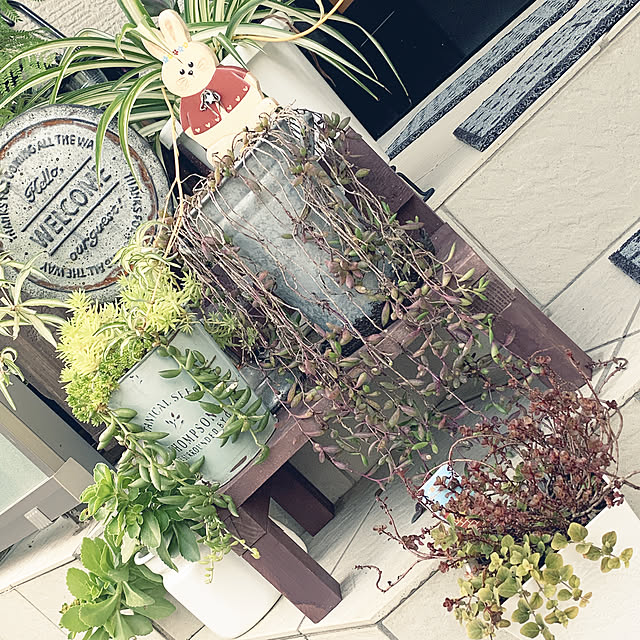 hinaさんの実例写真