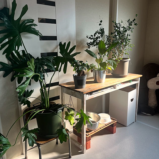 churasanさんの部屋