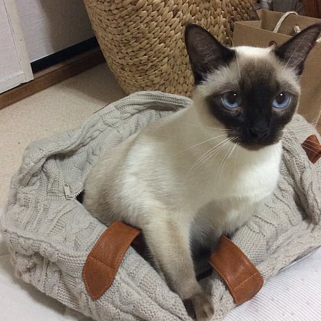 chadoさんの実例写真