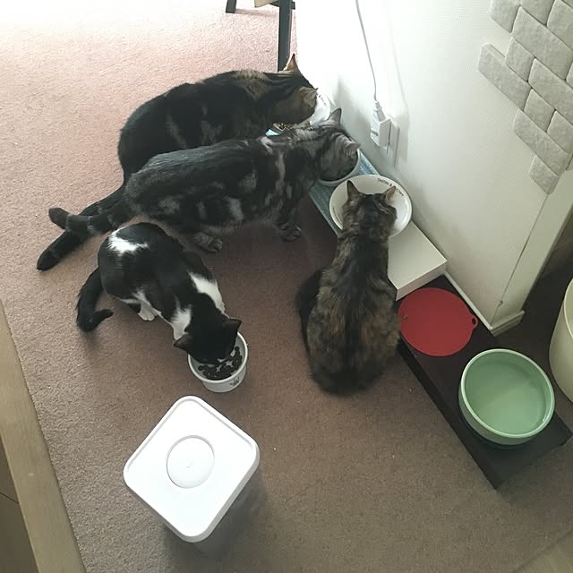 mikomaruさんの実例写真