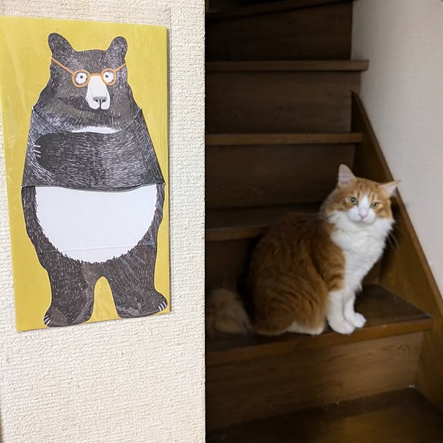 mori_6_12さんの実例写真