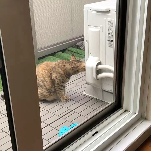 hansho.sさんの部屋