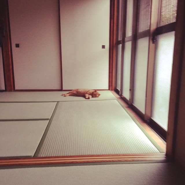shujiさんの実例写真