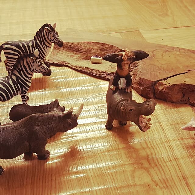 sa1130chiさんの実例写真