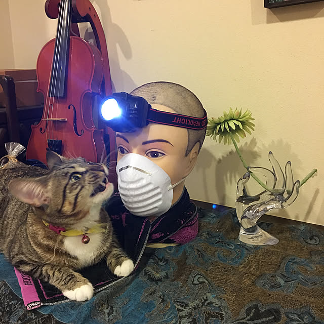 shigimiさんの実例写真