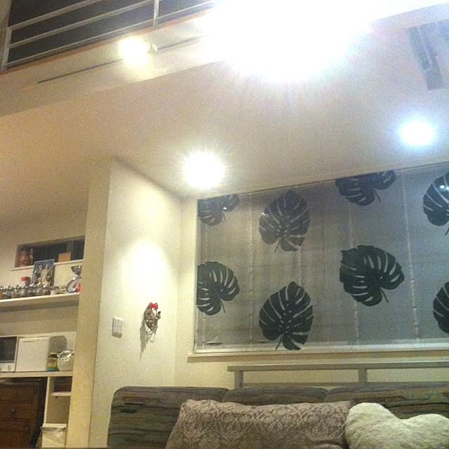 壁/天井/照明のインテリア実例 - 2014-02-10 21:30:34