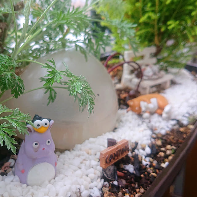 chondyさんの実例写真
