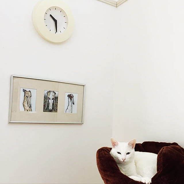 white_camelliaさんの実例写真