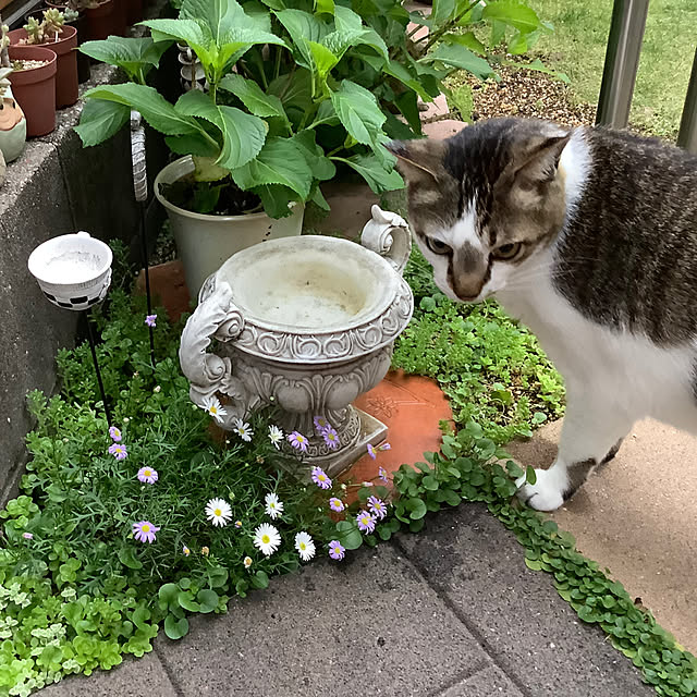 haruminさんの部屋