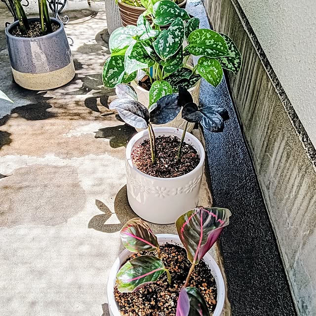 hanachanさんの部屋