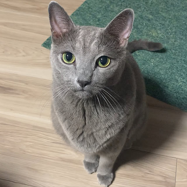 sayuuuさんの実例写真