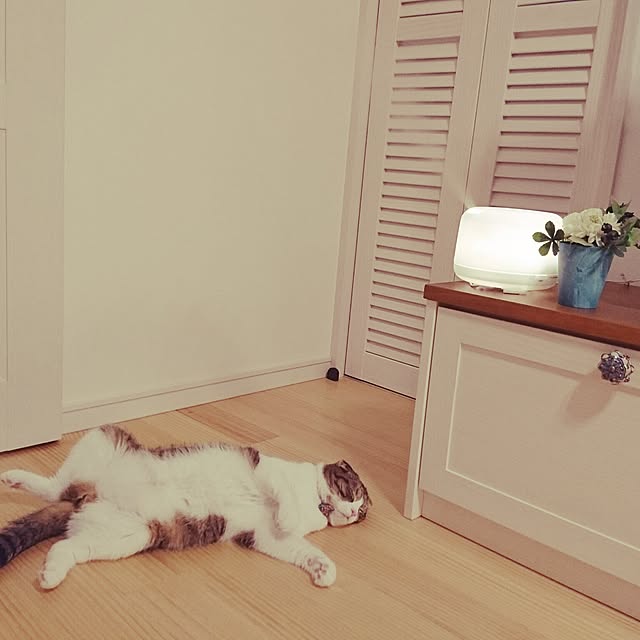 Akariさんの実例写真