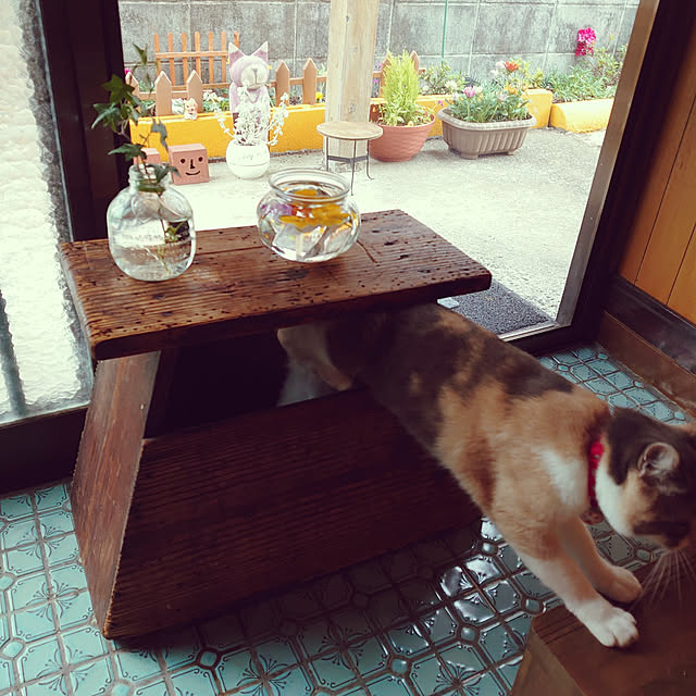 fukuさんの実例写真