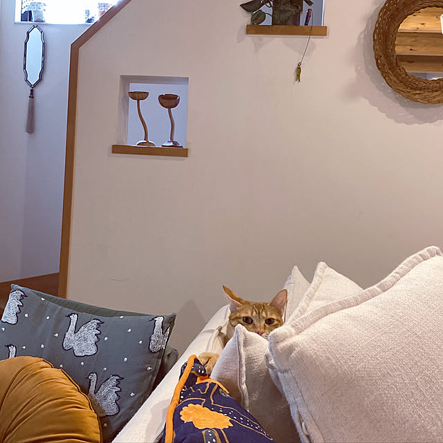 takakoさんの実例写真
