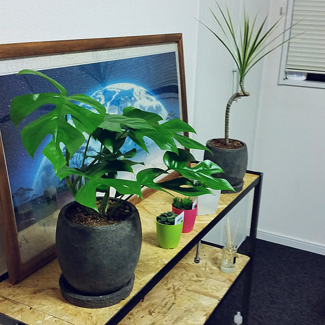 goriさんの実例写真