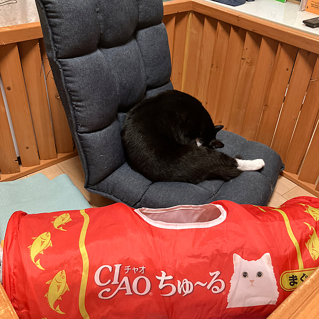 nekoさんの実例写真