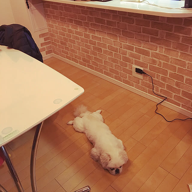 akisanさんの実例写真