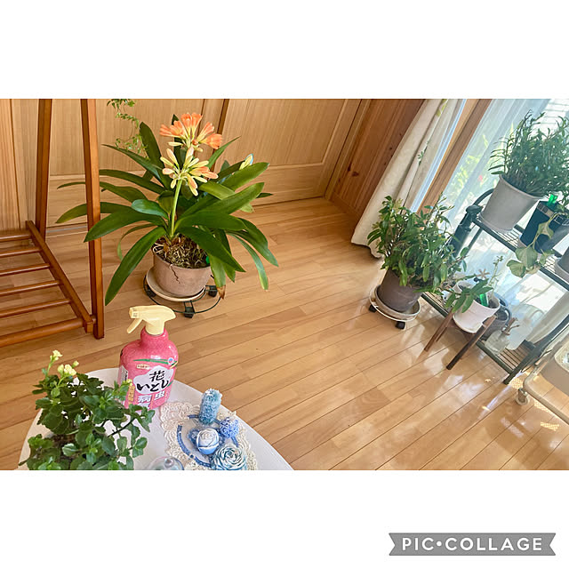 CoCo0617さんの部屋
