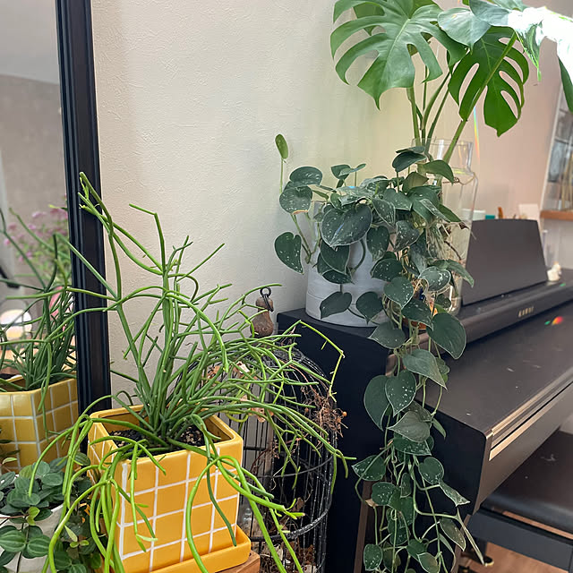 riri1989さんの部屋