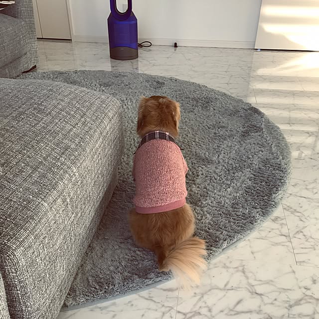 Eriさんの実例写真