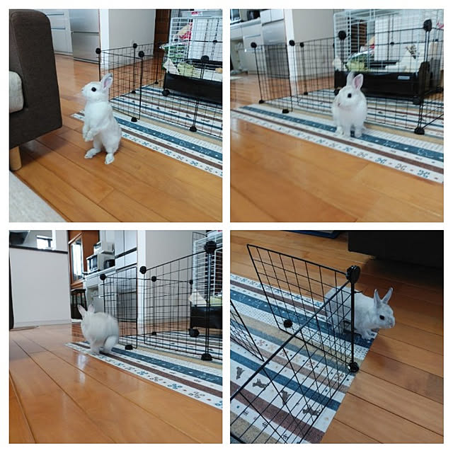 mutsuさんの実例写真
