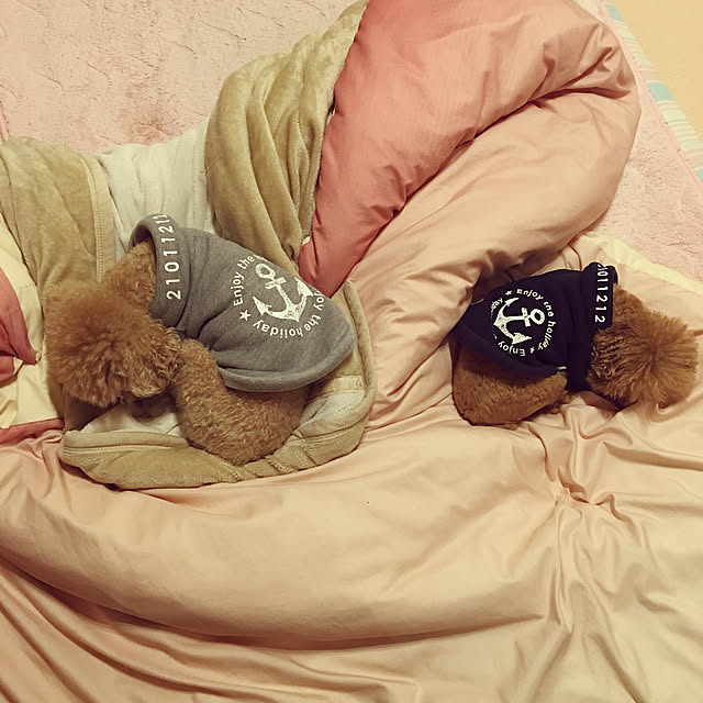 noririnさんの実例写真