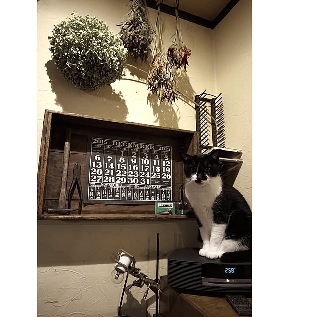jnkaiさんの実例写真