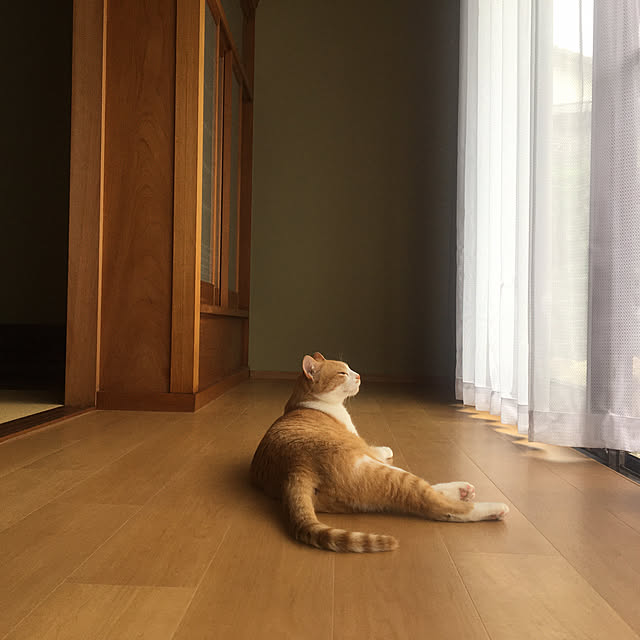 yukiさんの実例写真