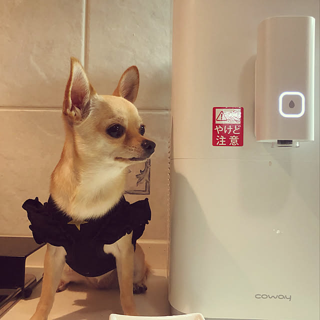 YUTTYさんの実例写真