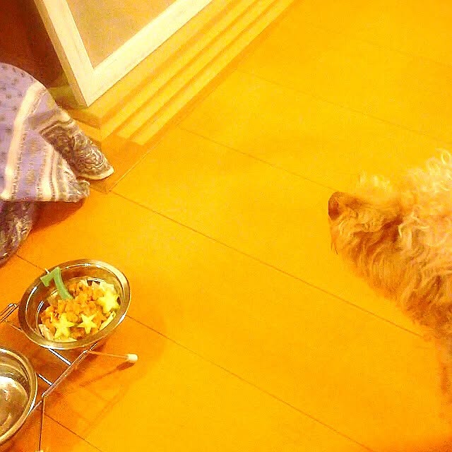 yさんの実例写真