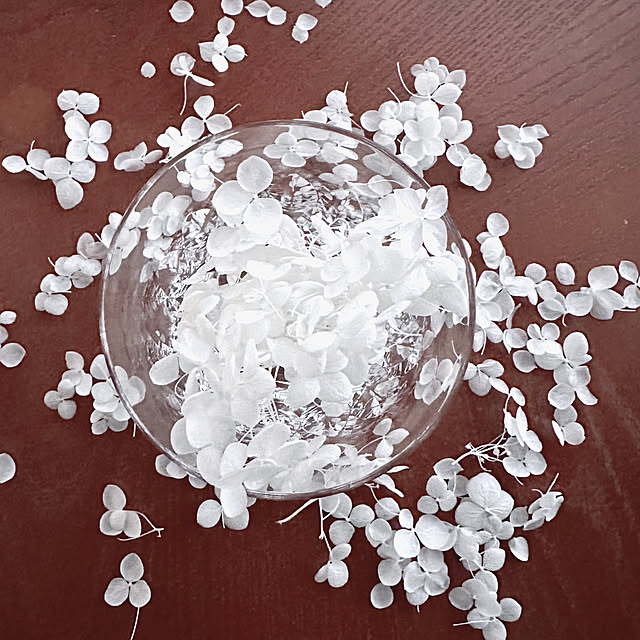 hanahana1444さんの部屋