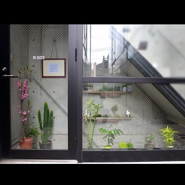 003さんの実例写真