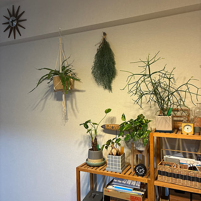 riomさんの実例写真