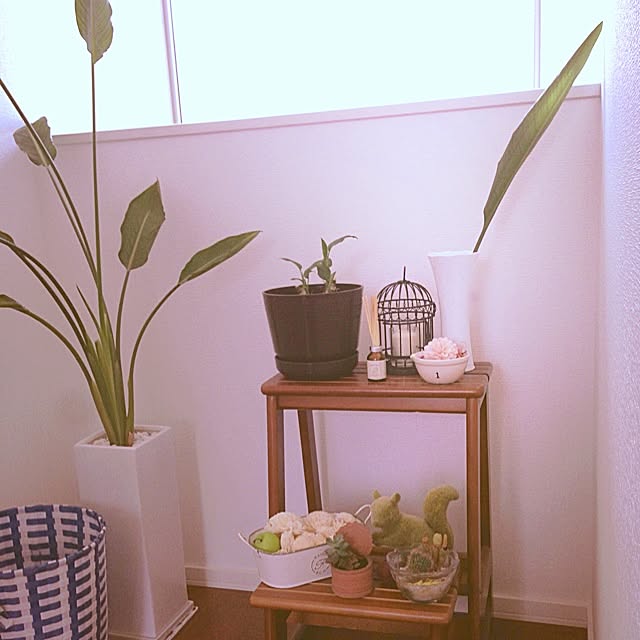 Megu5319さんの実例写真