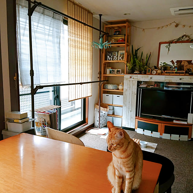 kikiさんの実例写真