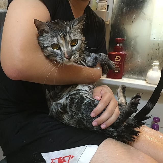 haruさんの実例写真