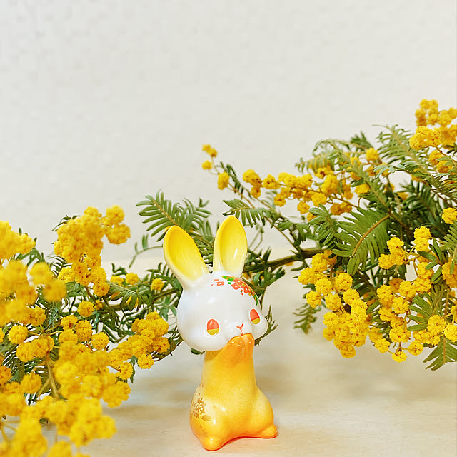 miemekkoさんの実例写真