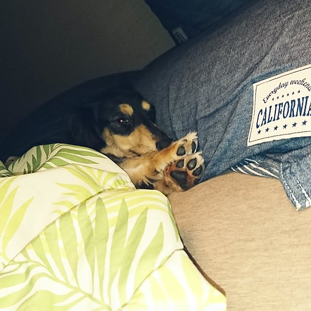 cocosorasakuさんの実例写真