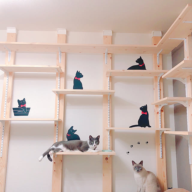 kekeさんの実例写真