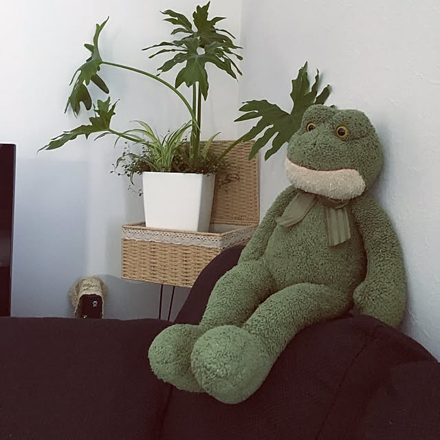 実例写真