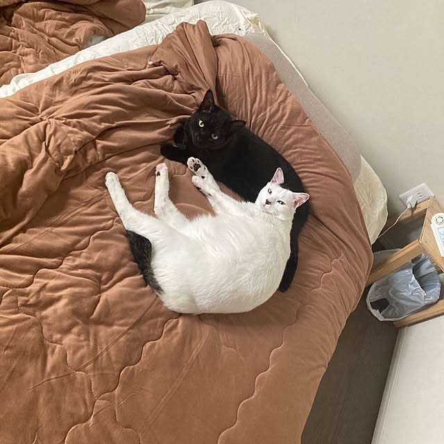 ma.さんの実例写真