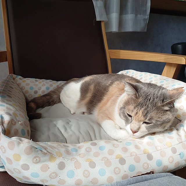 fukuさんの実例写真