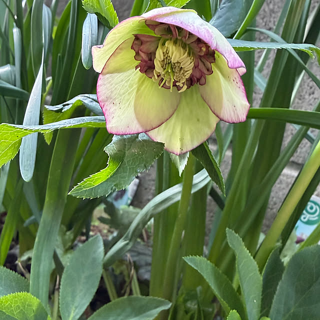 buchiさんの部屋