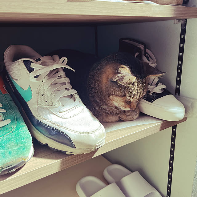 yoshibuさんの部屋