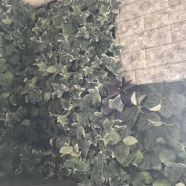 gonokamiさんの実例写真