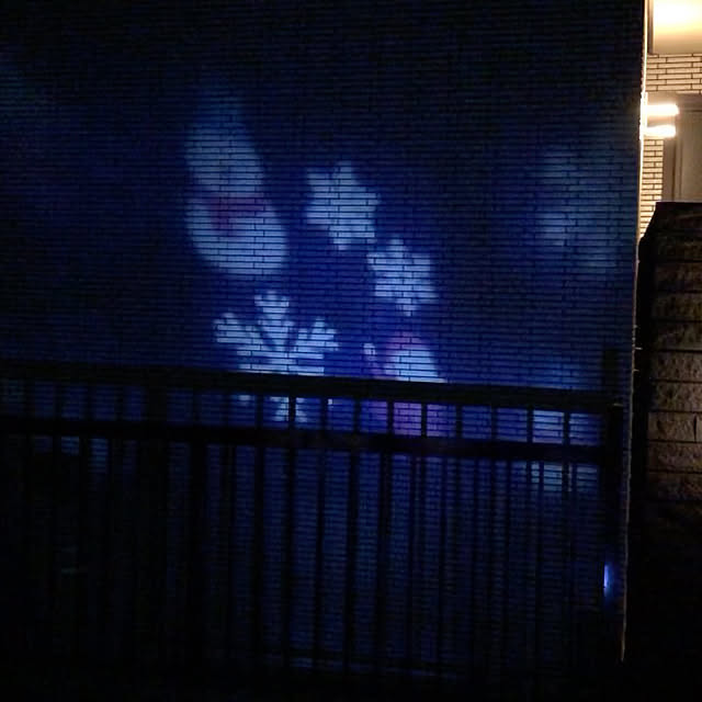 クリスマス/玄関/入り口のインテリア実例 - 2020-12-19 18:14:34